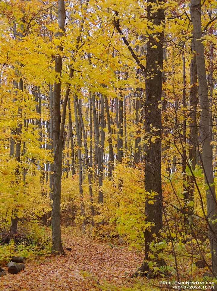 72018CrLe - Lunch time walk in the West Ridge Trails